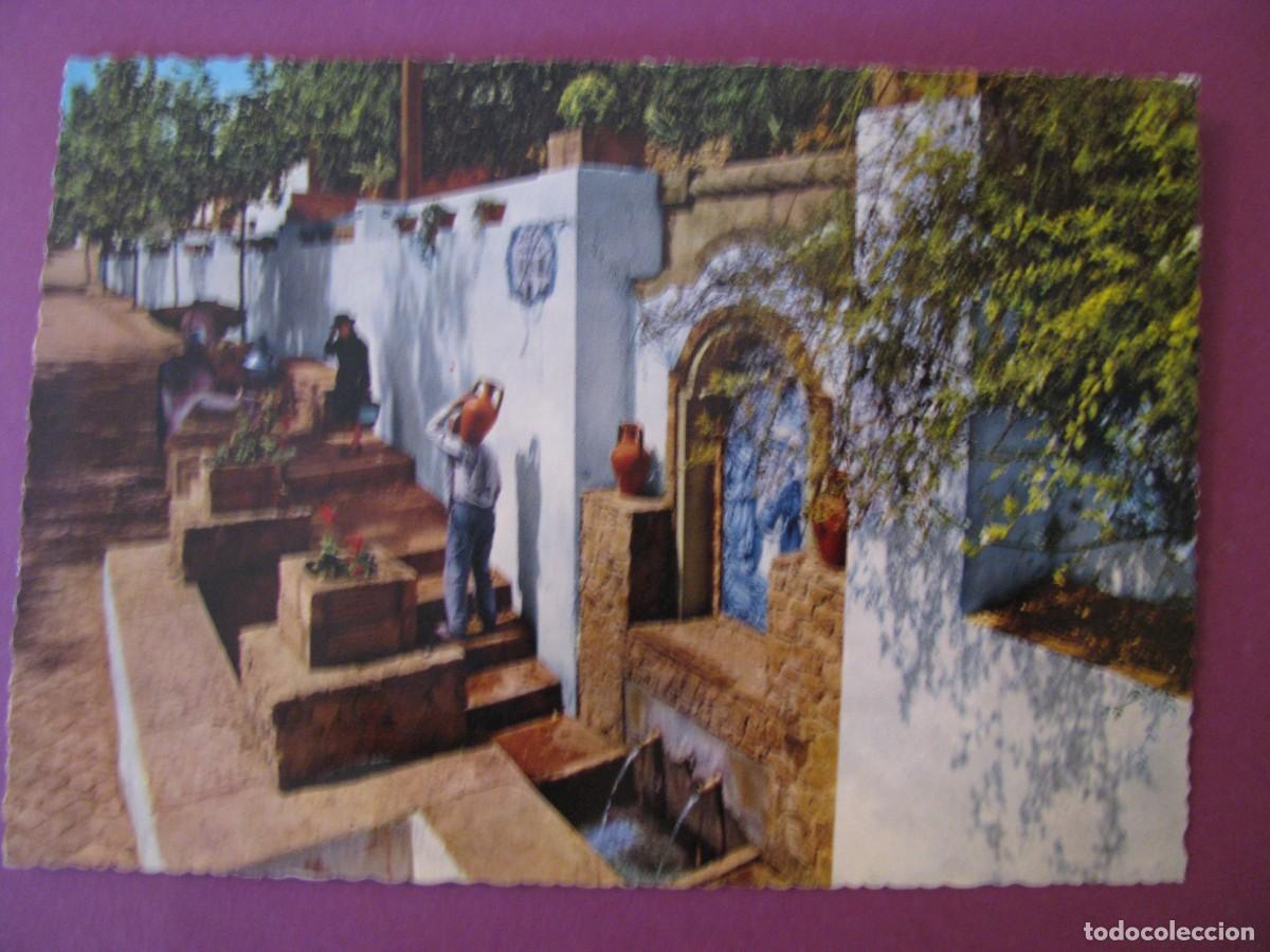 Postales: POSTAL DE ALGARVE, PORTUGAL. ALTE - NA FONTE.
