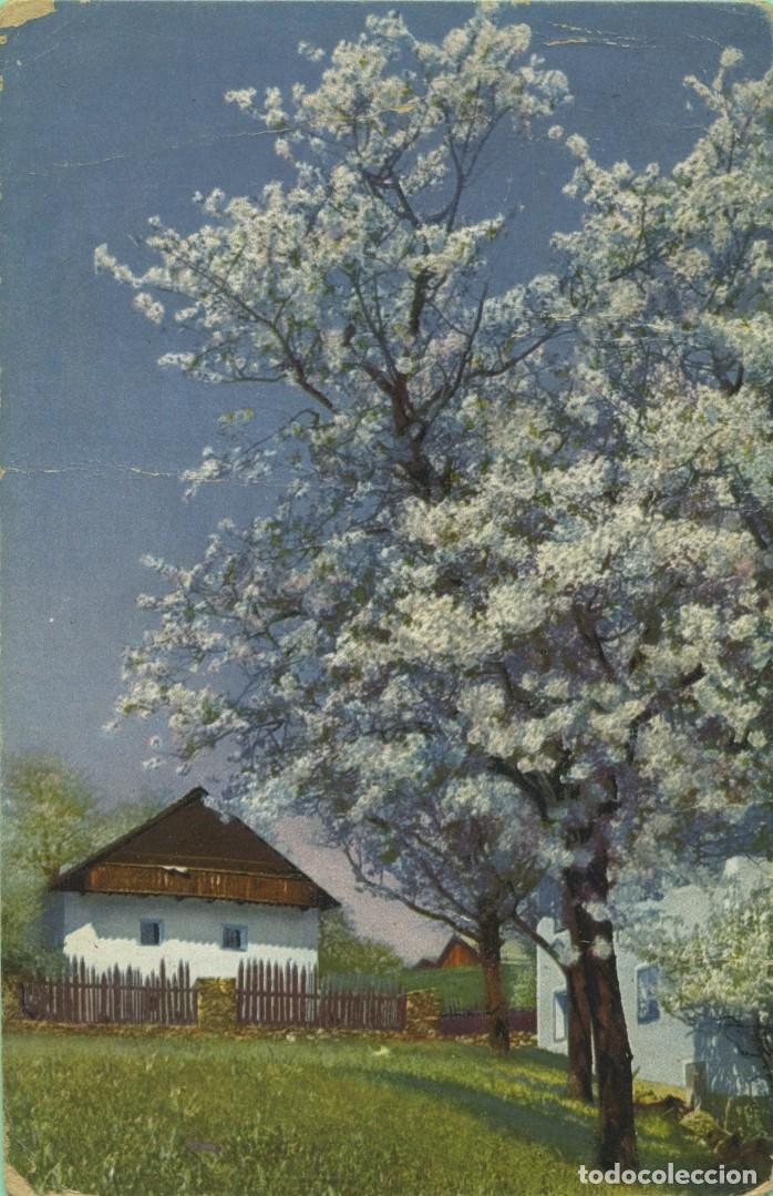 Postales: Serie 144-Nr. 2708-Floraci&oacute;n de frutos en Tirol. Circulada en 1909.