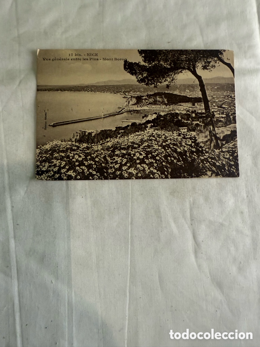 Postales: Postal Niza &ndash; Vista general entre los Pinos y Mont Boron &ndash; Blanco y negro &ndash; Francia