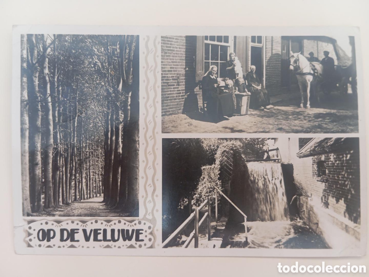 Postales: Postal Holandesa Antigua Op de Veluwe 1950