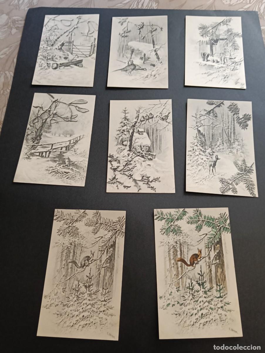 Postales: Lote de 8 tarjetas postales antiguas de invierno y naturaleza - Ilustradas por E. D&ouml;cker (M. M. Vien