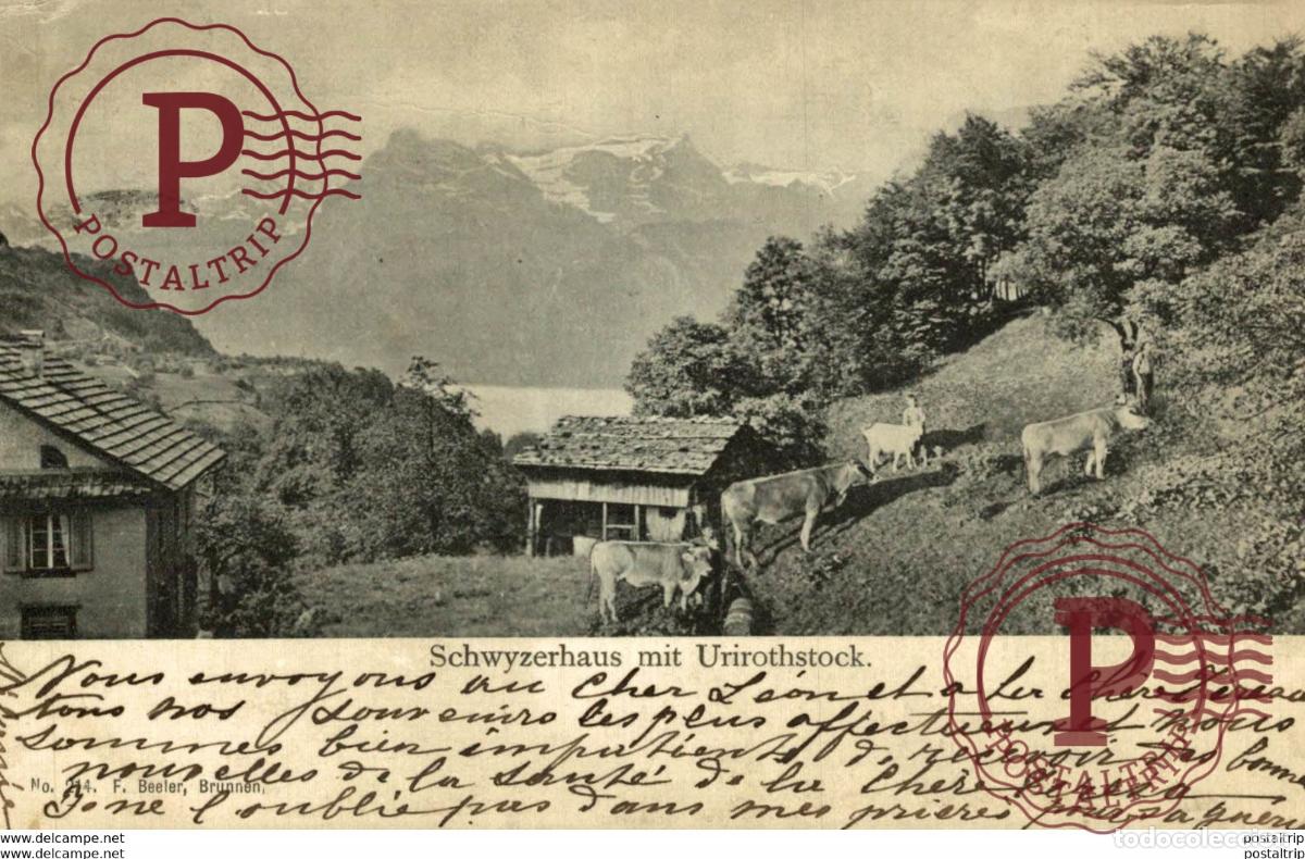 Cartoline: SCHWYZERHAUS MIT URIROTHSTOCK WEGGIS