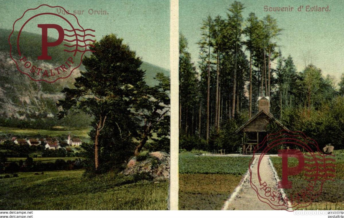 Cartoline: VUE SUR ORVIN SOUVENIR DEVILARD