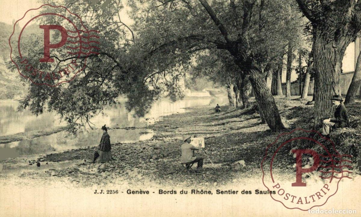 Cartes Postales: Geneve - Bords du Rhone, Sentier des Saules Schweiz Suisse Switzerland