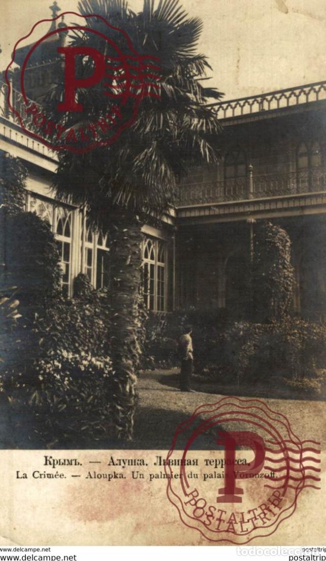 Postales: RARE RPPC LA CRIMEE ALOUPKA UN PALMIER DU PALAIS VORONZOFF russa rusia rusland RUSSE RUSSIE