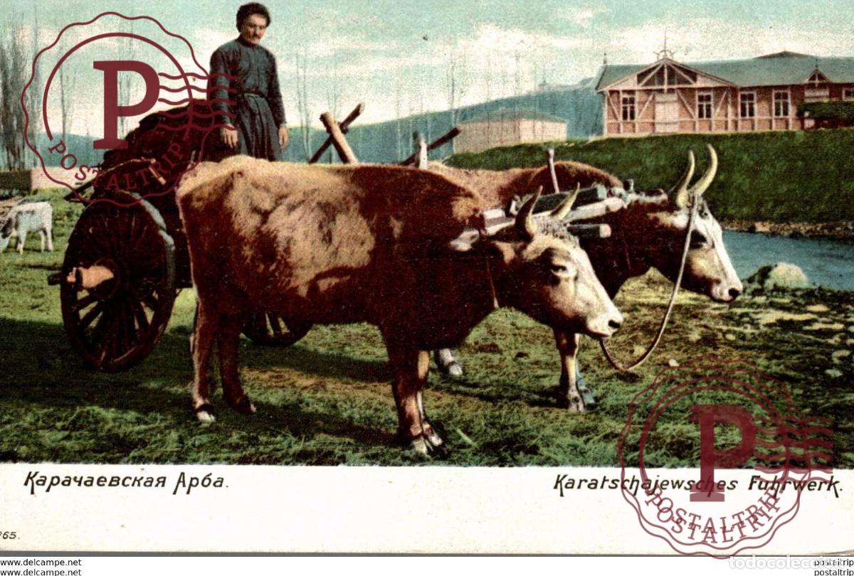 Postales: RUSSIA - KARATSCHAJEWSCHES FUHRWERK russa rusia rusland RUSSE RUSSIE