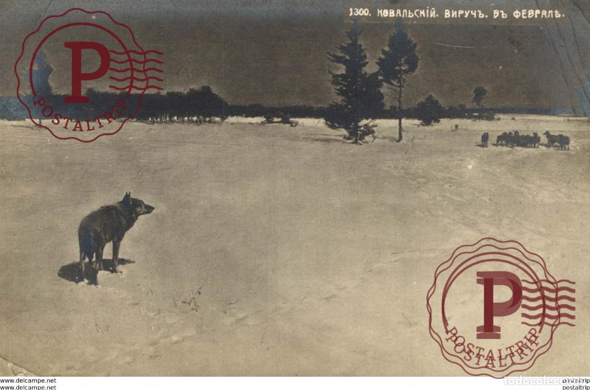 Postales: 1919 Russie RUSSES russa rusia rusland SEE SCAN CORNERS