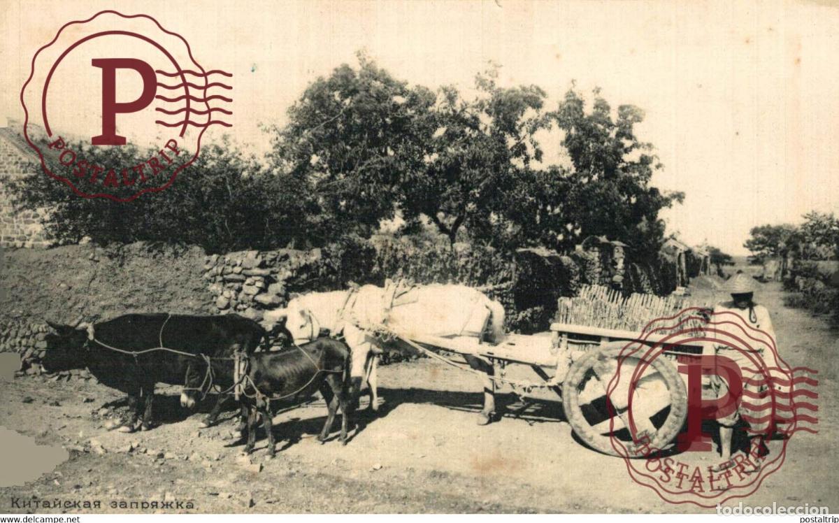 Postales: RUSSE RUSIA RUSLAND RUSSIE