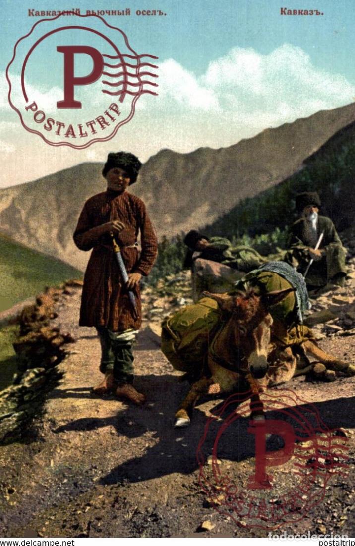Postales: Caucase - Types - Transport Ane de b&acirc;t RUSSE RUSIA RUSLAND RUSSIE