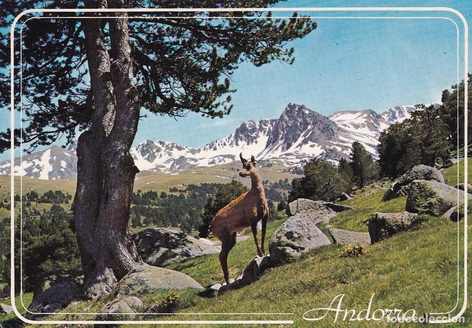 Cartes Postales: N&ordm; 101 Valls d'Andorra - Vall d'Envalira - Vall d' Envalira - Andorra