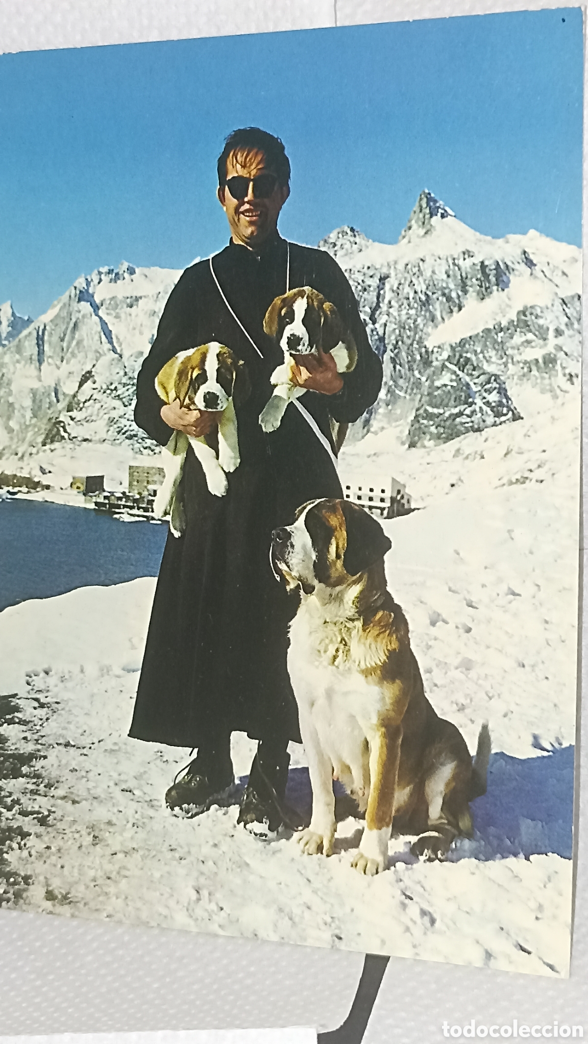 Postales: Suisse Sur de Coll de San Bernard