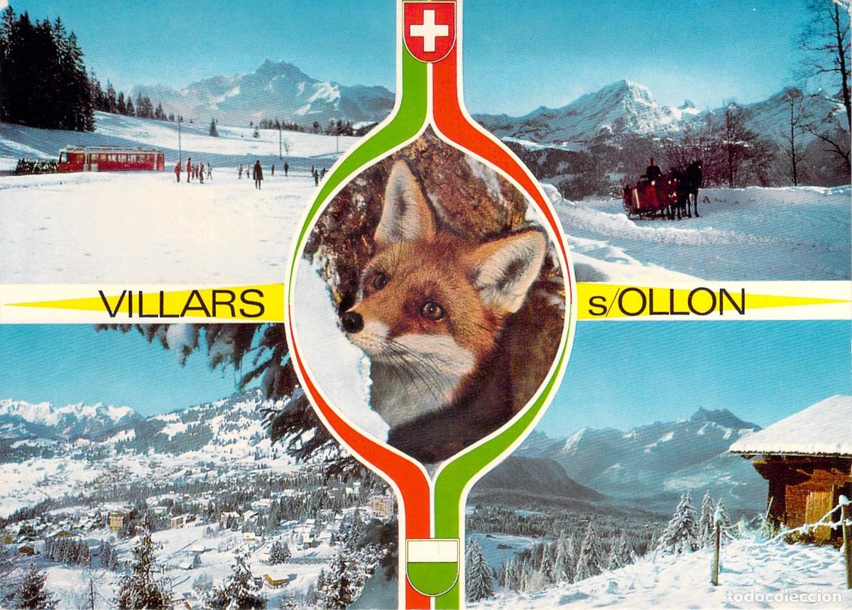 Postales: Postal de Villars-sur-Ollon con Paisaje de Invierno y Zorro