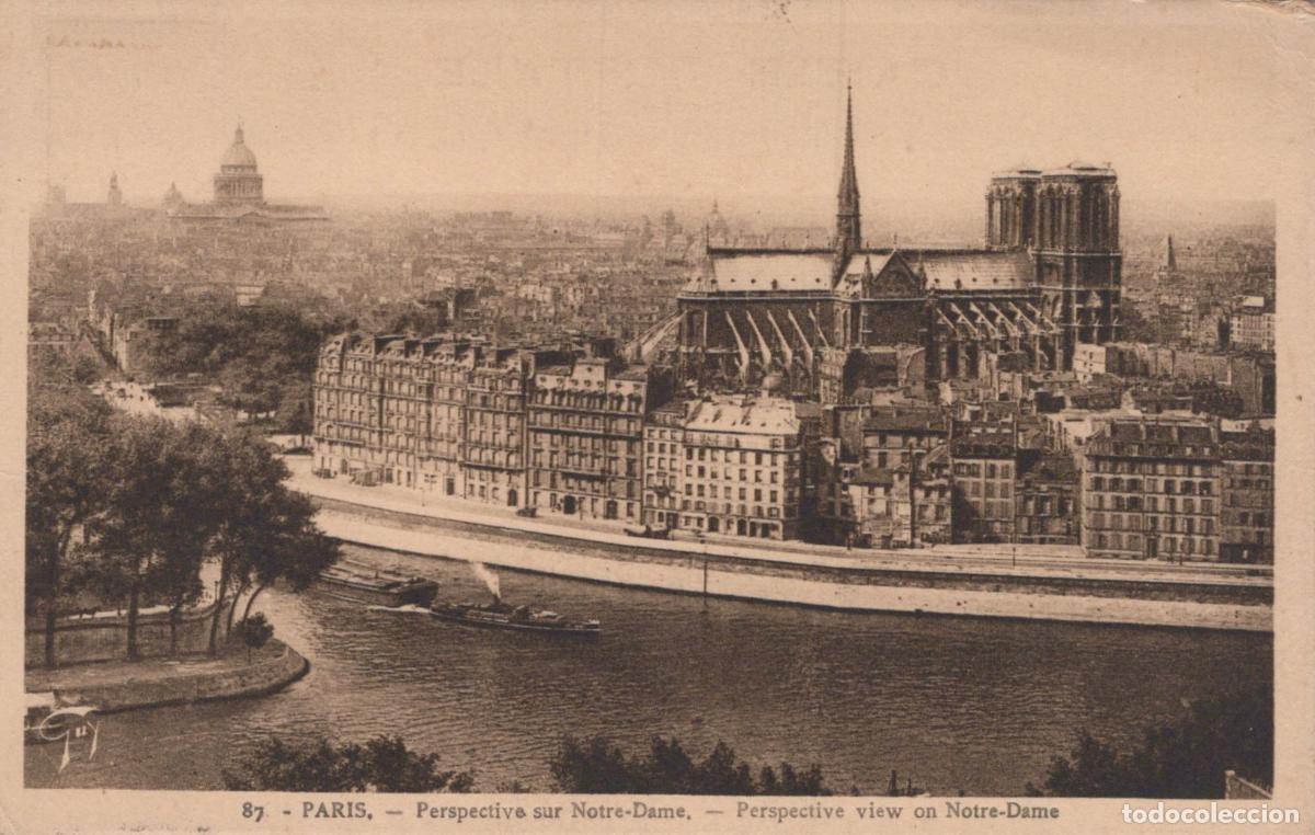 Cartes Postales: France Paris &Icirc;le de Notre Dame de Vue Panoramique Seine *YAA256