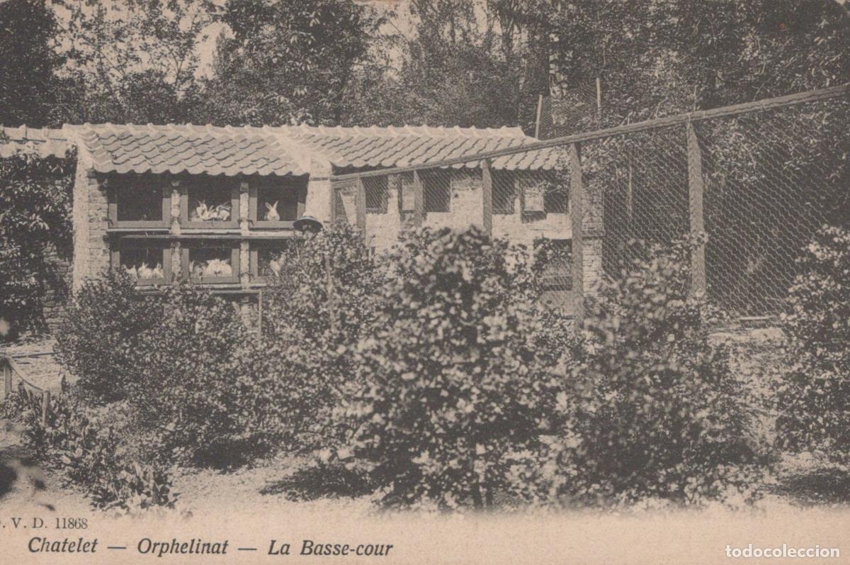 Cartes Postales: France Chatelet &Icirc;le de Orphelinat Basse Cour Lapins Elevage Animaux *YAA266