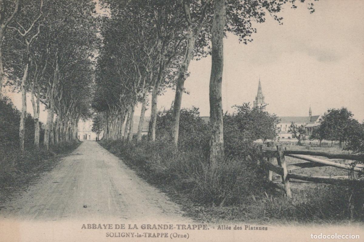 Postales: France Soligny la Trappe Grande Trappe Abbaye All&eacute;e Platanes Unposted *YAA255