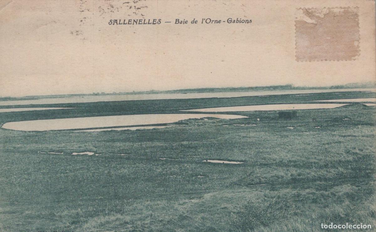 Postales: France Sallenelles Calvados Baie de L Orne et Gabions Paysage C&ocirc;tier *YAA492