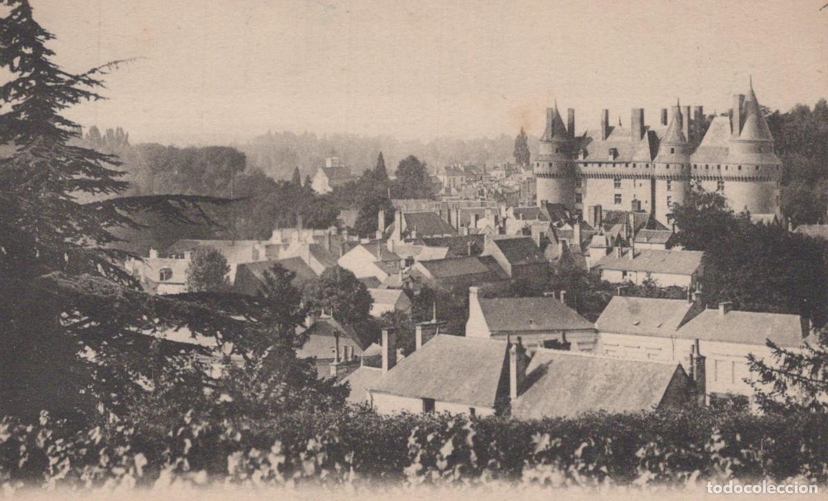 Cartoline: France Langeais Ch&acirc;teau de Vue Panoramique Unposted *YAA350