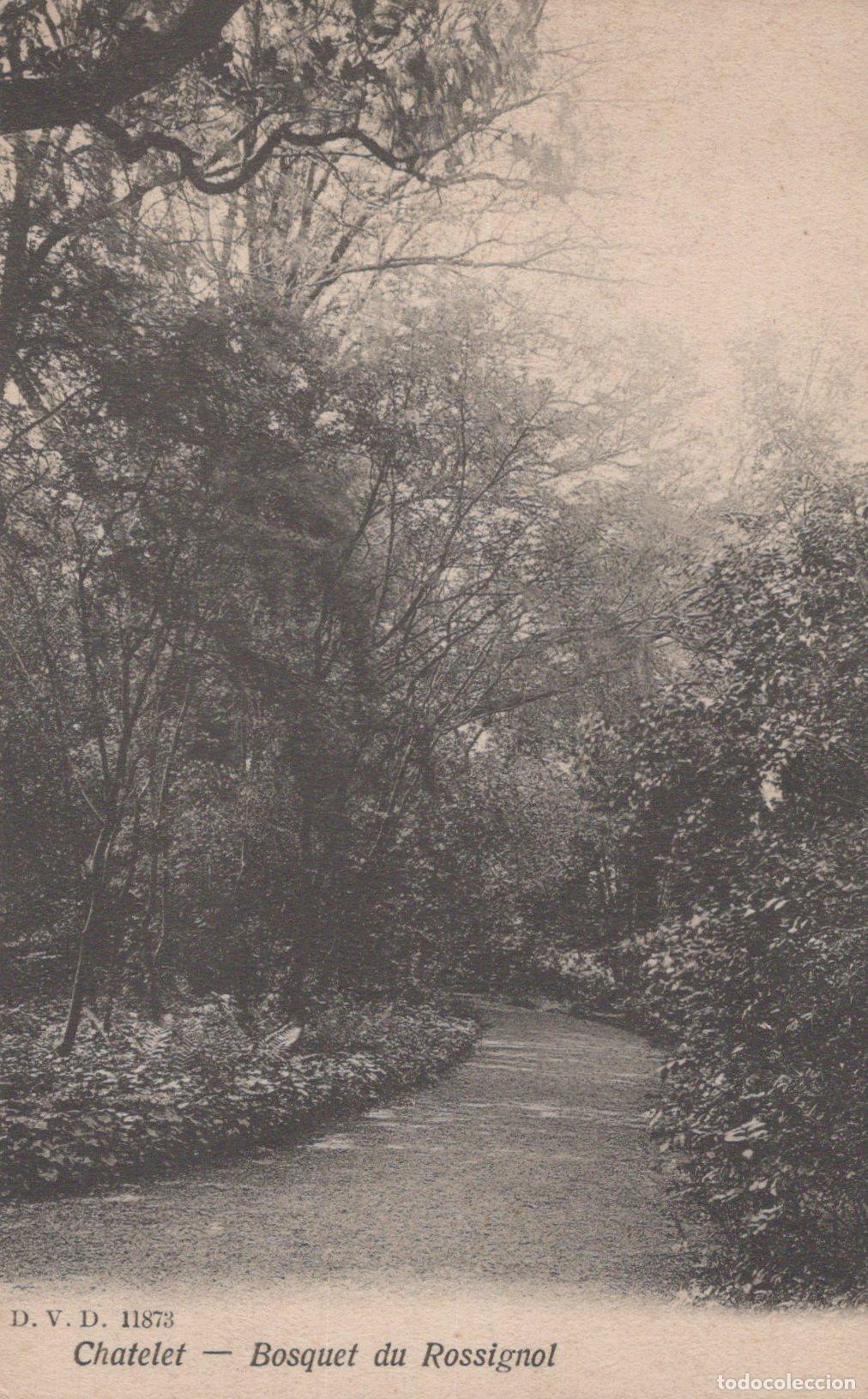 Postales: France Chatelet Sentier Bosquet du Rossignol *YAA628