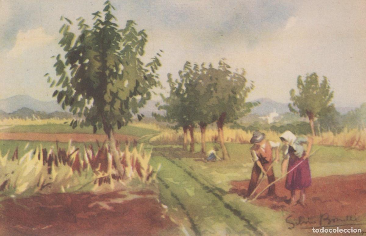 Postcards: Italia Paesaggio Rurale Contadini Al Lavoro Pittura Silvio Unposted *YAA775