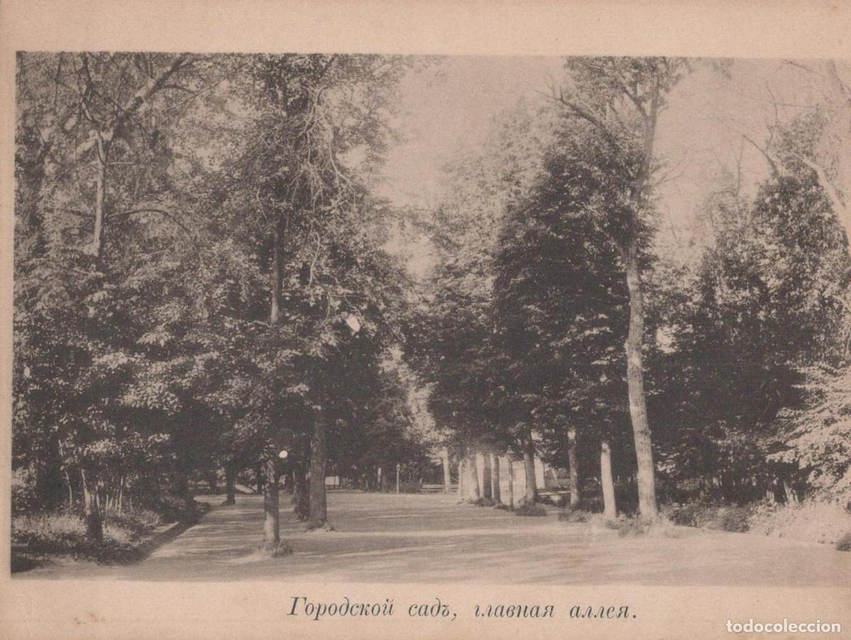 Postcards: Russia Россия Городской Сад Главная Аллея Пейзаж Неотправленная Unposted *YAA556