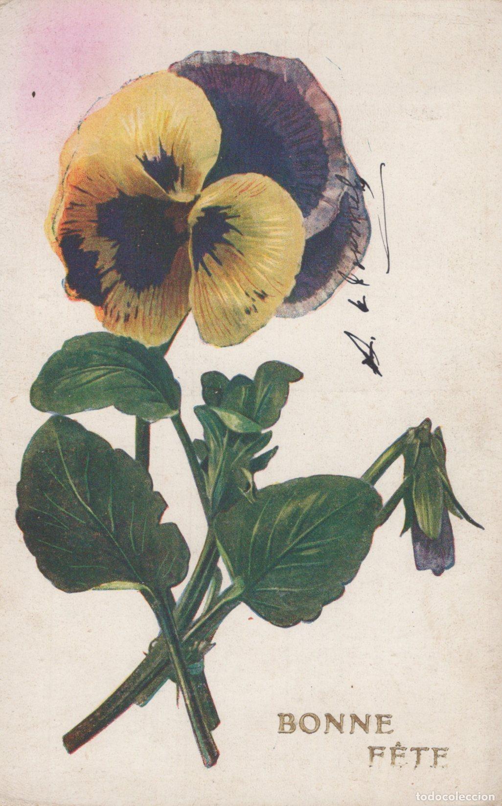 Postcards: France Fleur Pens&eacute;e Art Nouveau Illustration Botanique Unposted *YAA837