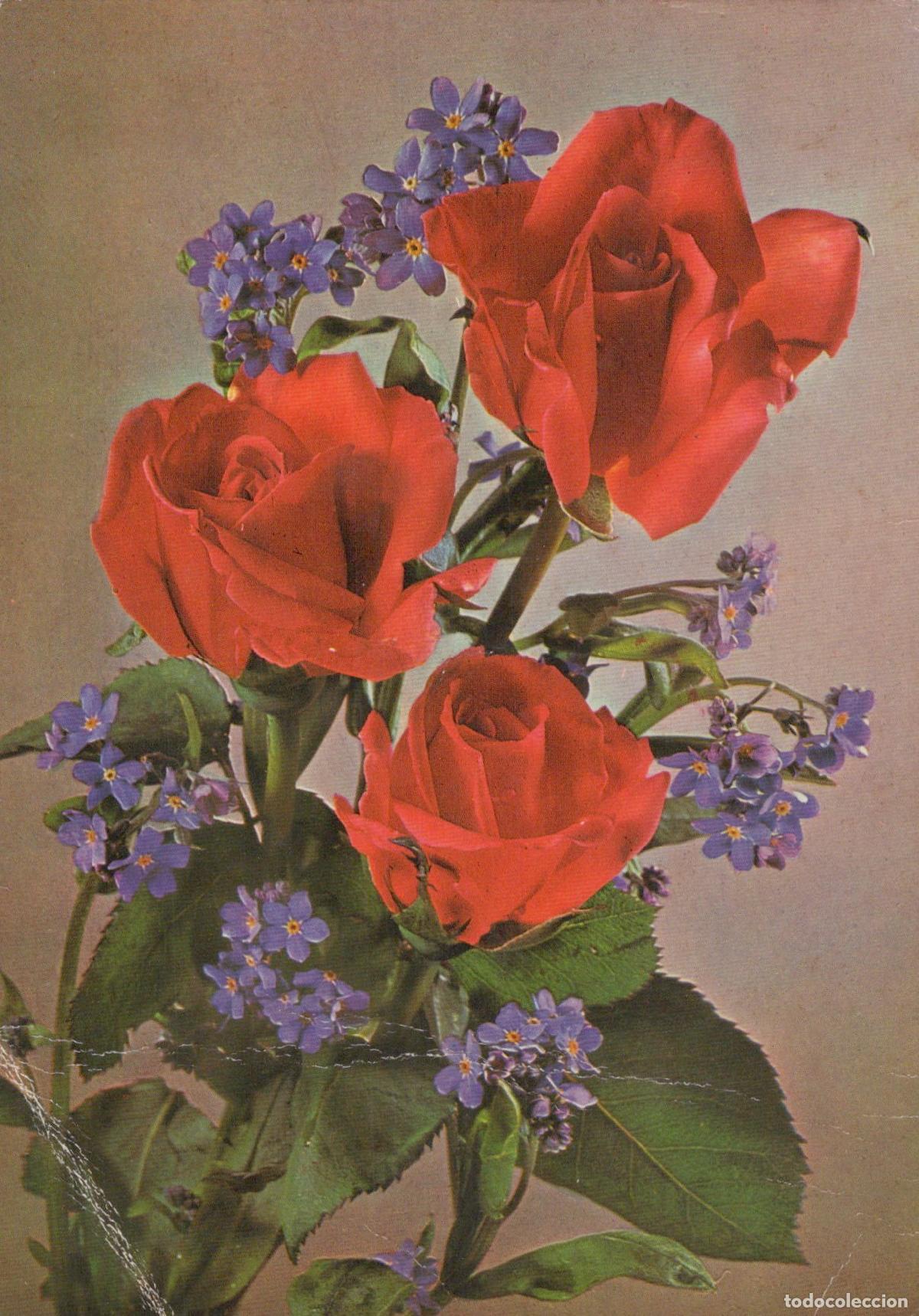 Postcards: France Paris Bouquet de Roses Rouges et Myosotis Bleus Nature Morte *YAA974