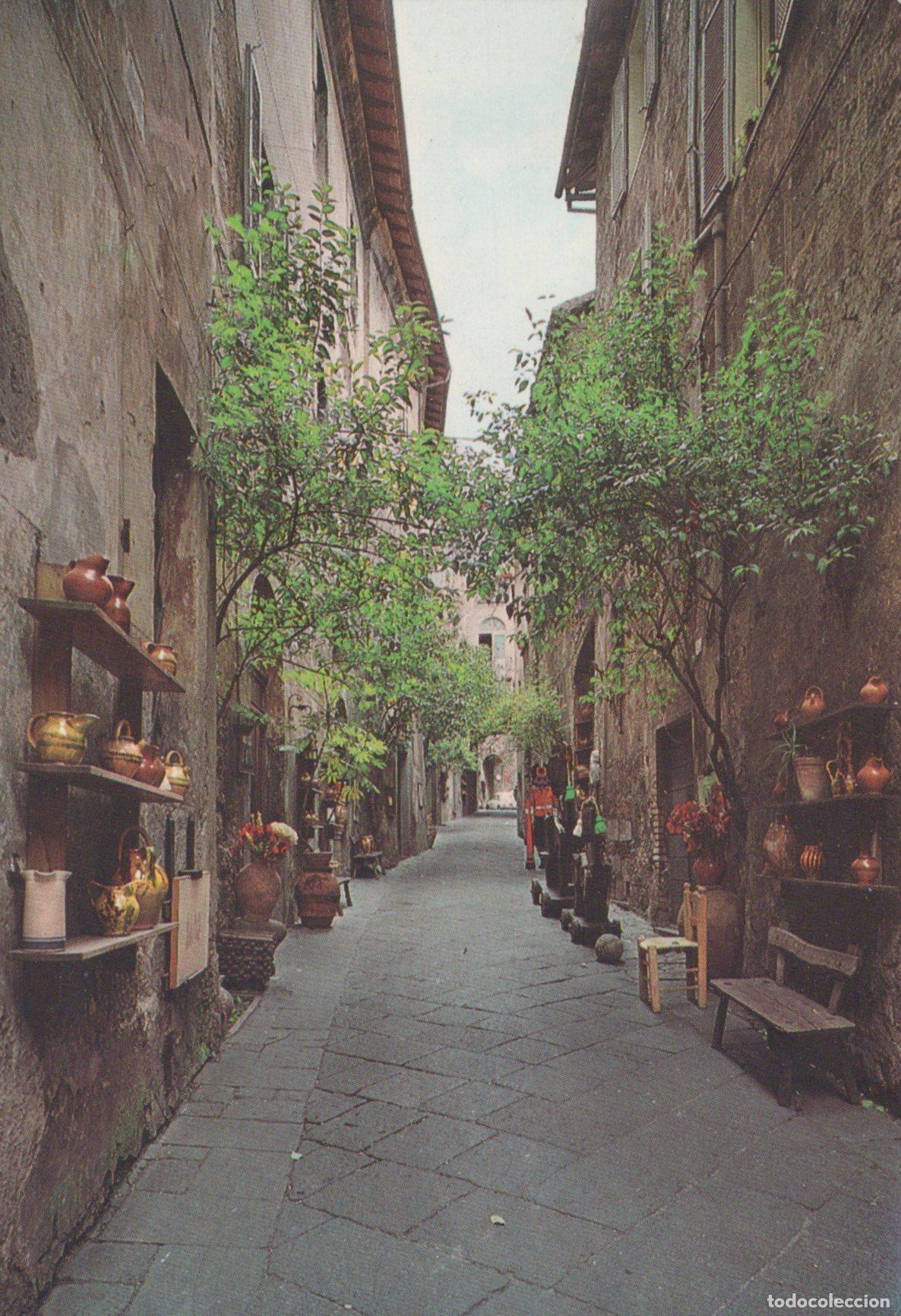 Postcards: Italia Orvieto Vicolo Storico Botteghe Piante Architettura Affrancata *YAA990
