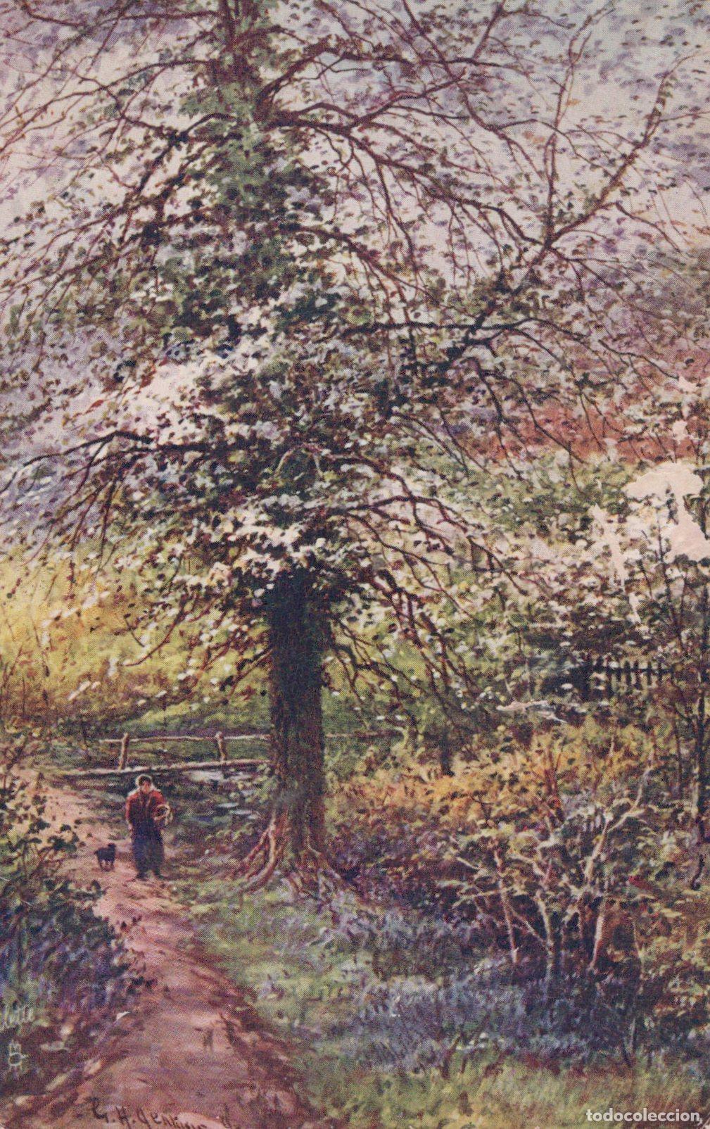 Cartoline: United Kingdom England Rural Scene Blossom Time Painting Person Unposted *YAA876