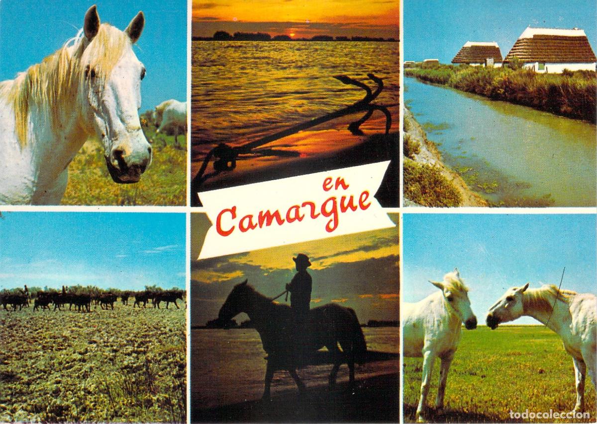 Postales: Postal de la regi&oacute;n de Camarga Francia