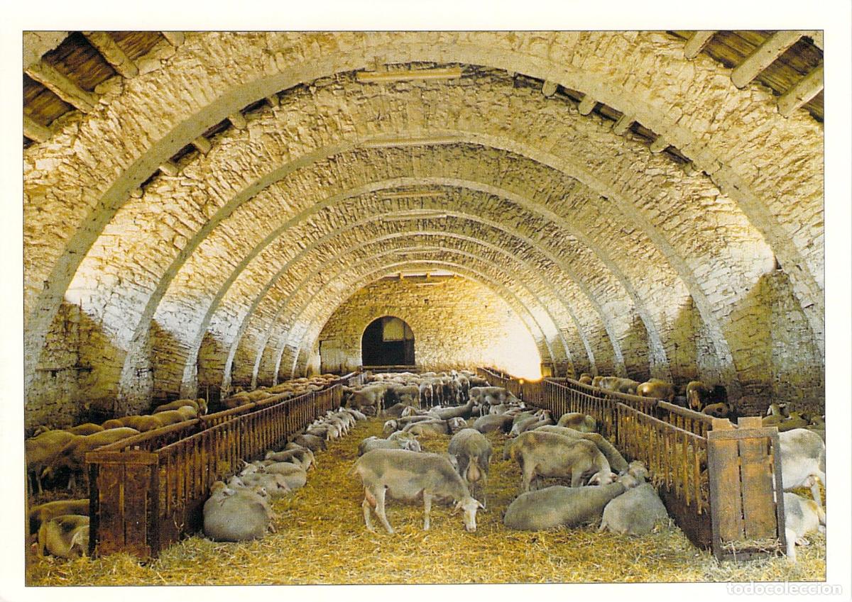 Postales: Postal de interior de una granja de ovejas en la regi&oacute;n de Aveyron, Francia