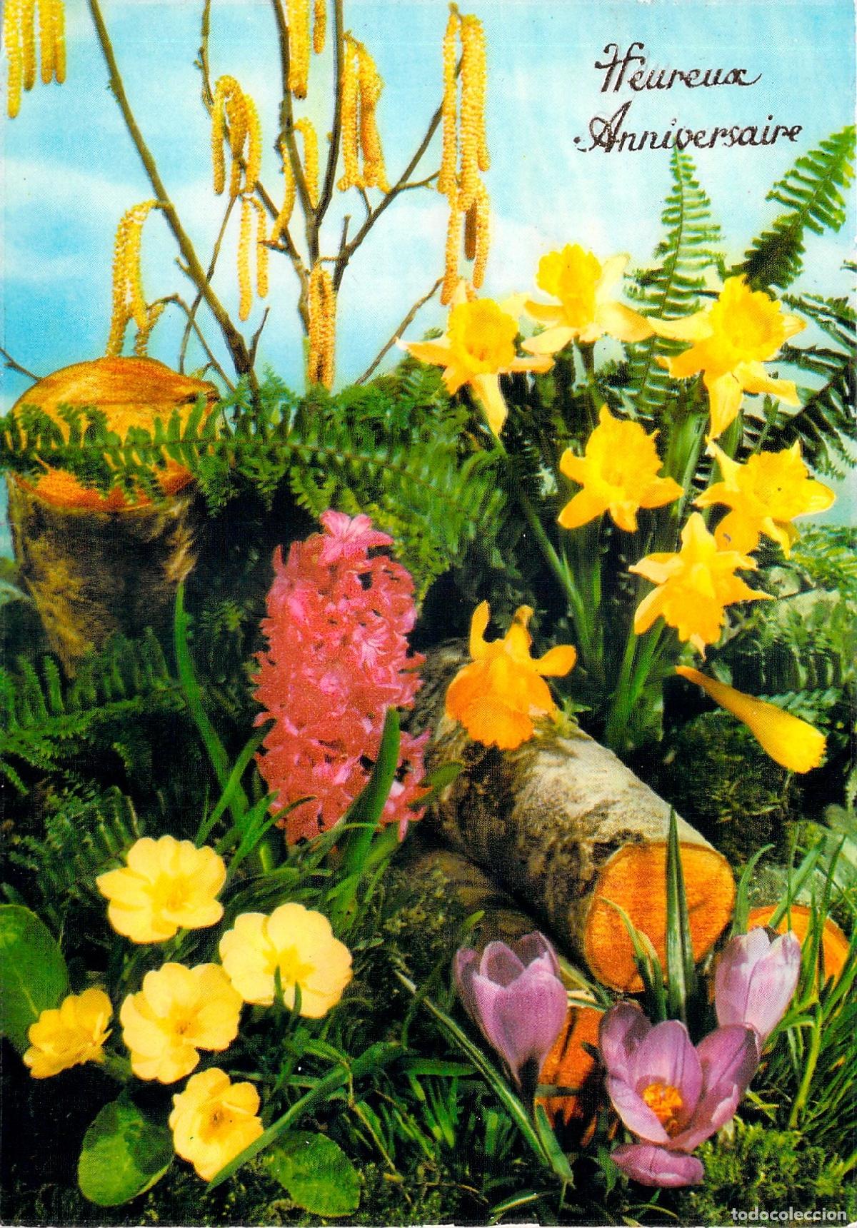 Postais: Postal de Feliz Cumplea&ntilde;os con Flores Coloridas