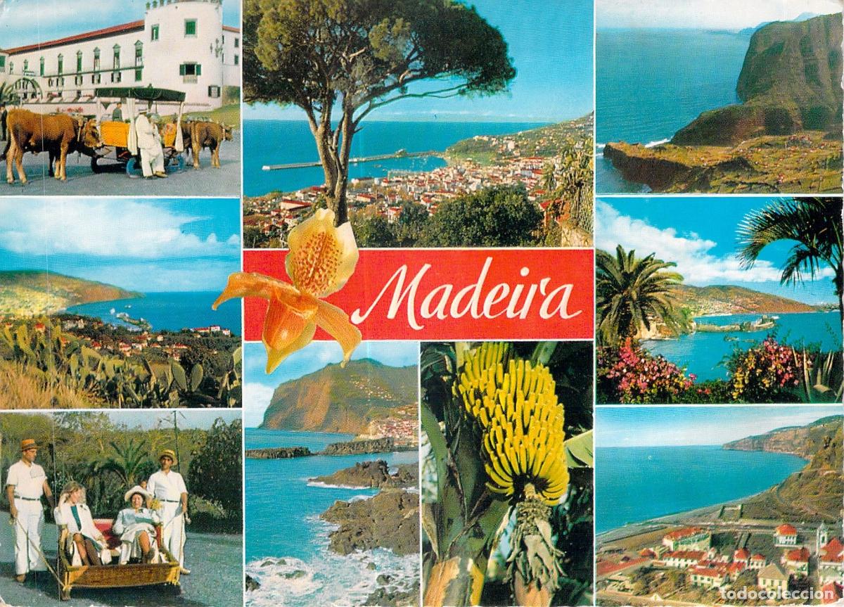 Cartes Postales: Postal de vistas panor&aacute;micas de la isla de Madeira