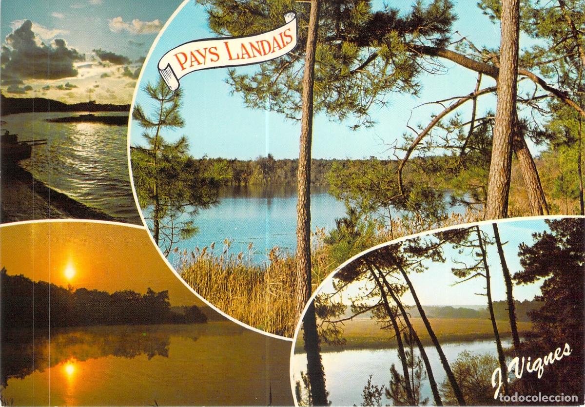 Cartes Postales: Postal del Paisaje de Pays Landais en Francia