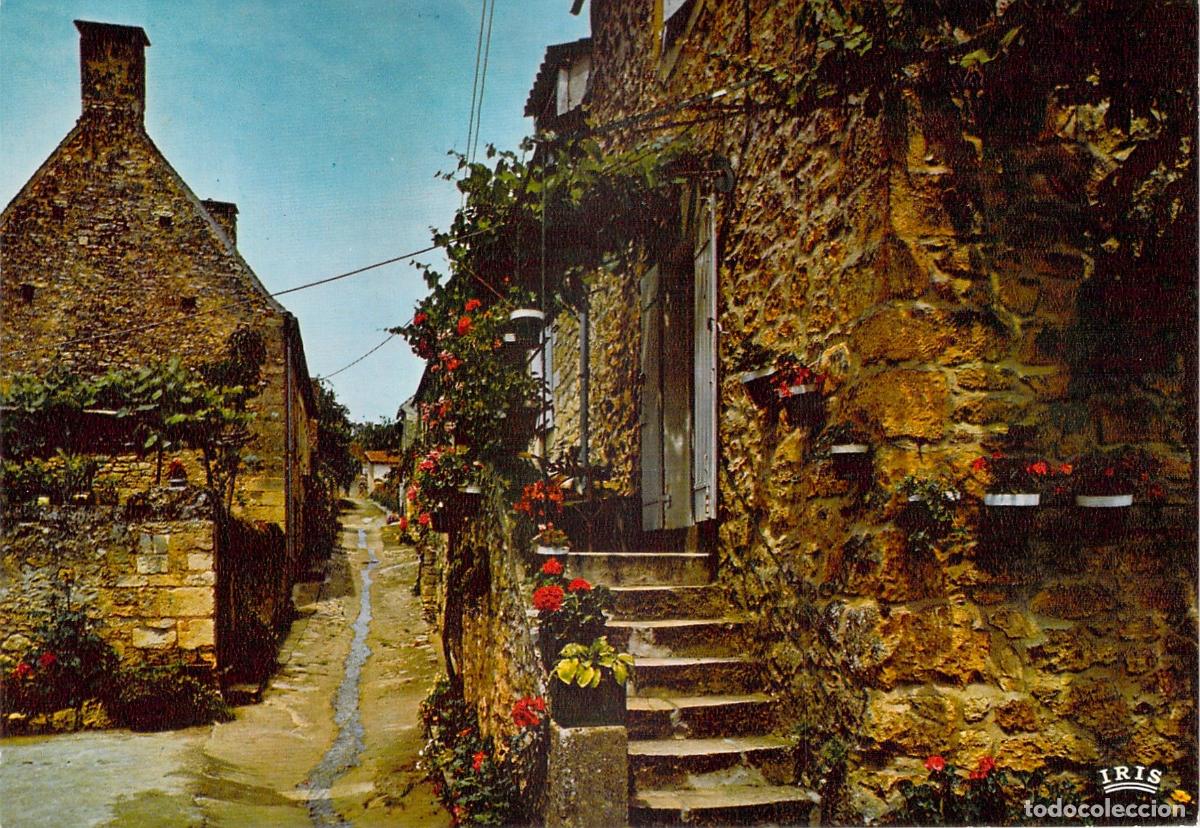 Postais: Postal de Domme en el Valle de la Dordo&ntilde;a Francia