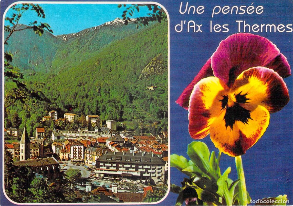 Postais: Postal de Ax-les-Thermes con vista general y flor