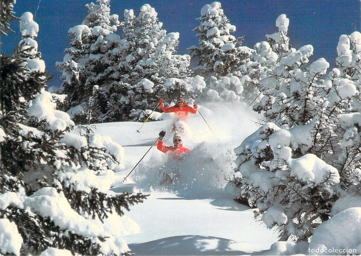 Postkarten: Postal de esquiadores en nieve profunda, Alpes suizos