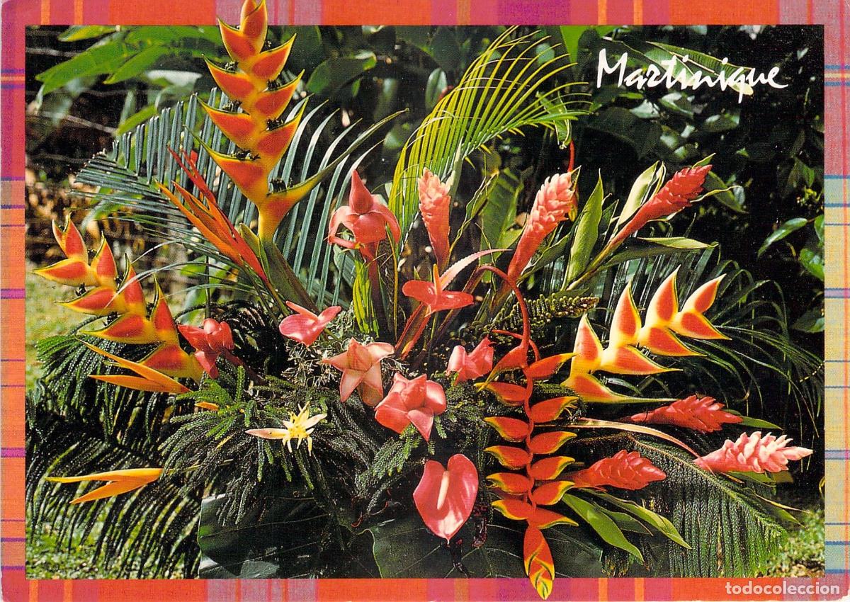 Postales: Postal de Martinica con Arreglo de Flores Tropicales