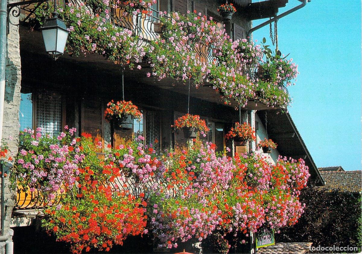 Postales: Postal de Yvoire Haute-Savoie con balcones floridos