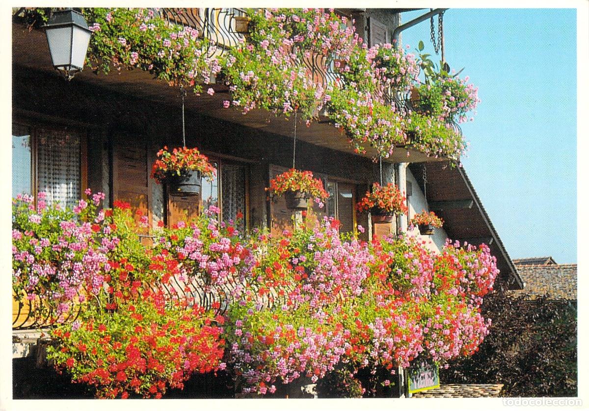 Postales: Postal de balcones floridos en los Alpes Franceses