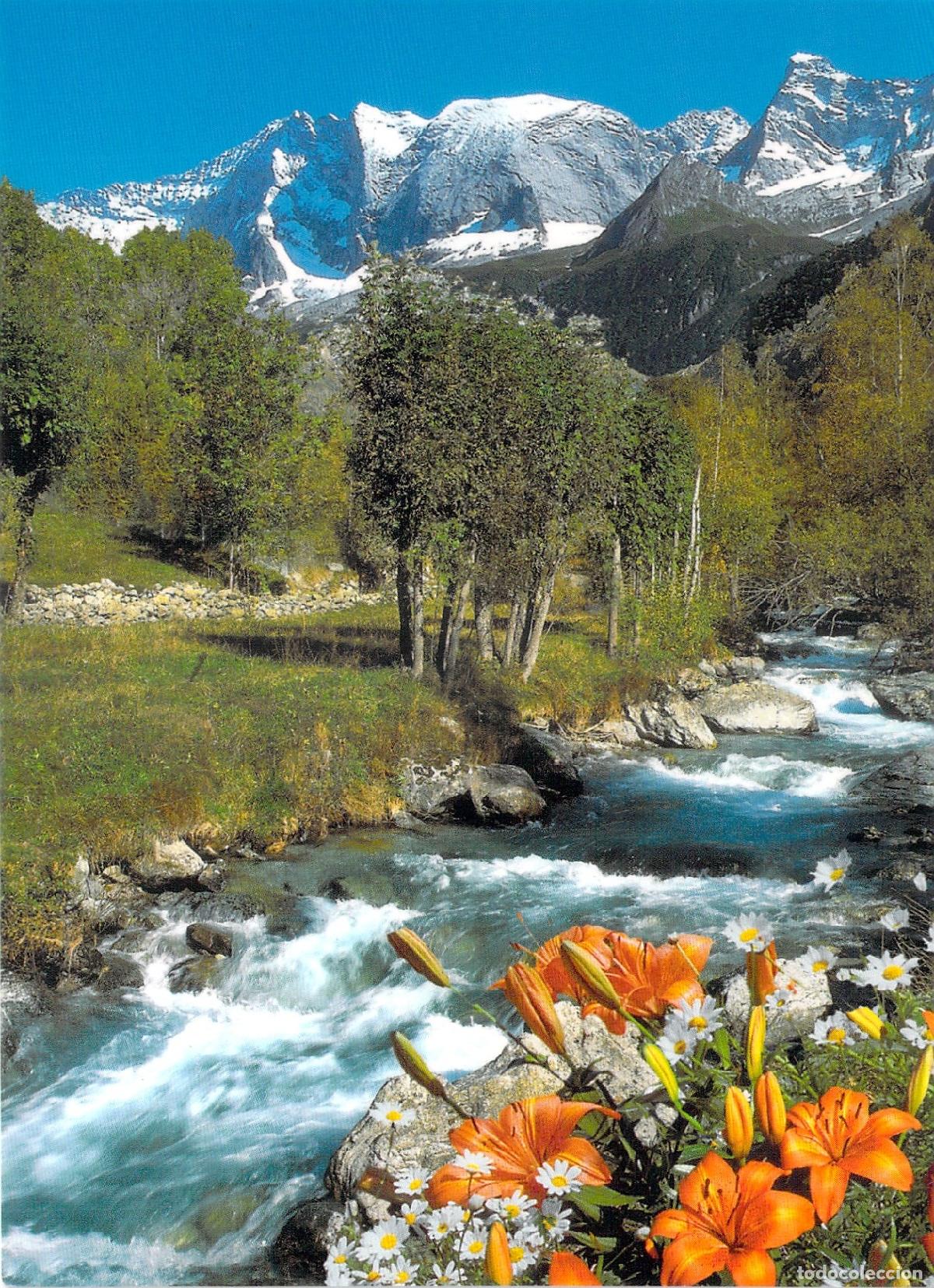 Postales: Postal de paisaje de monta&ntilde;a en Vanoise con arroyo y flores
