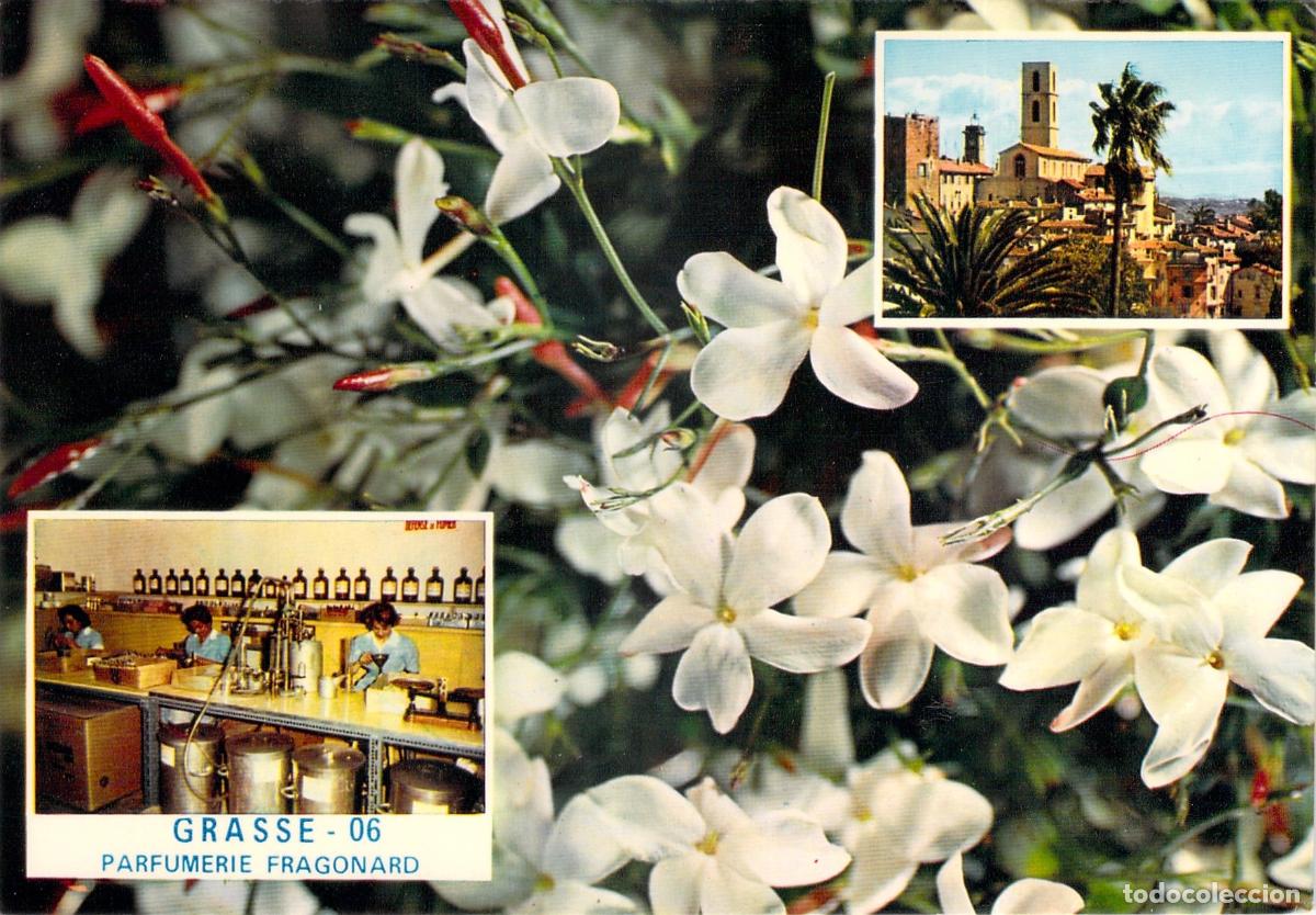 Postales: Postal de Grasse Francia Parfumerie Fragonard Jazm&iacute;n y Catedral