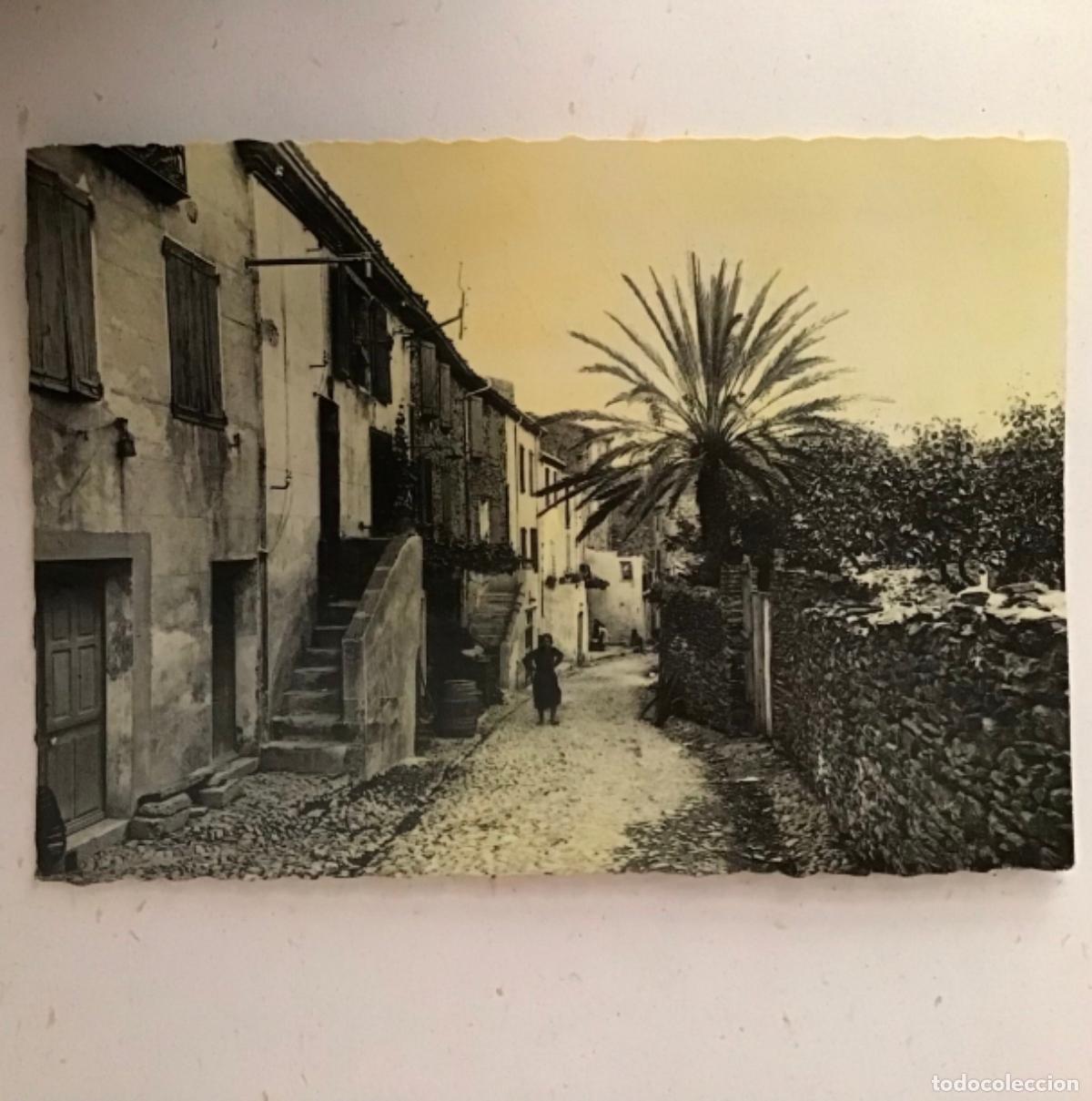Postales: COLLIOURE- LA RUE DU SOLEI,POSTAL FOTOGR&Aacute;FICA 1960