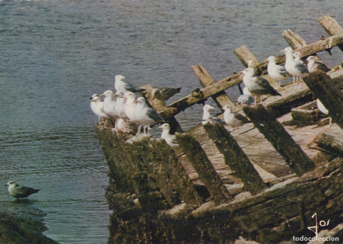 Cartoline: France Ch&acirc;teaulin Bretagne &Eacute;pave et Mouettes Paysage C&ocirc;tier Unposted *YAB102