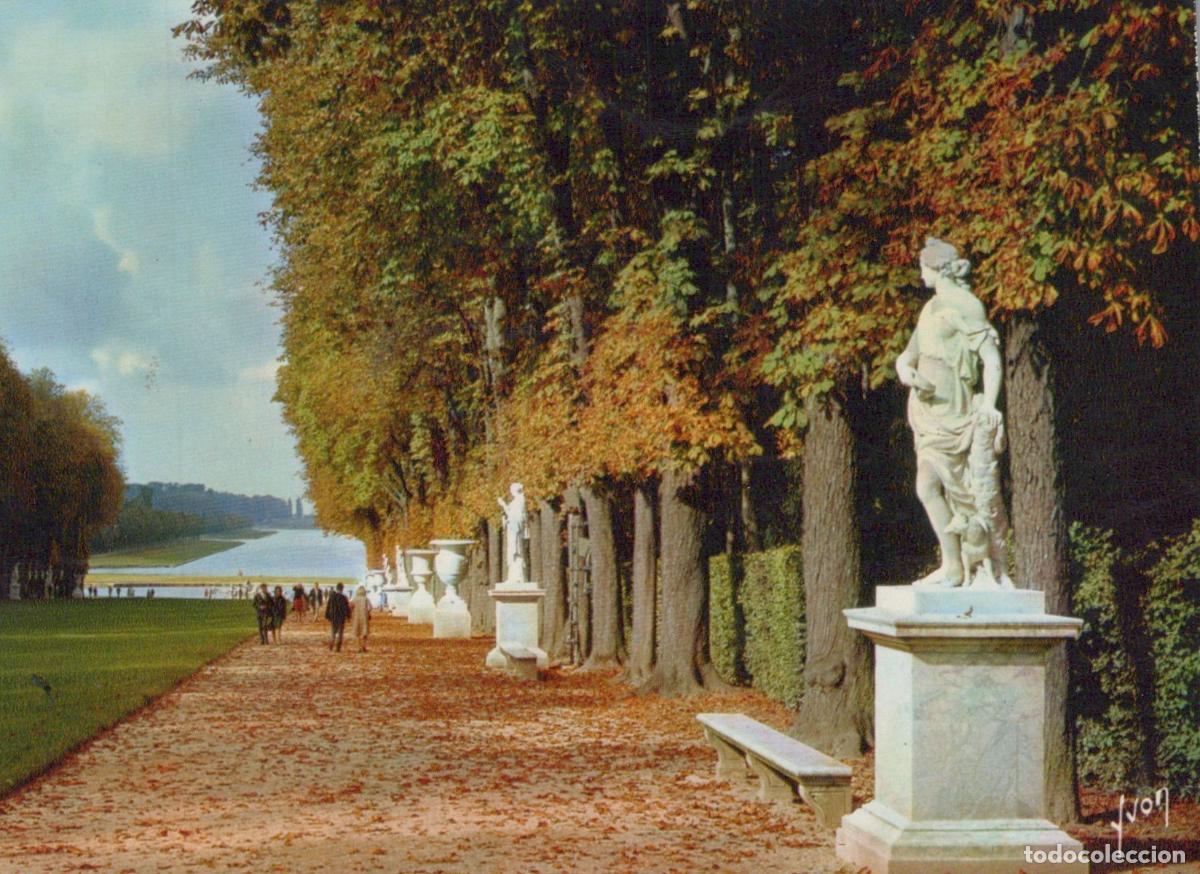 Cartoline: France Versailles &Icirc;le de Ch&acirc;teau Tapis Vert Bassin D Apollon Statues *YAB149