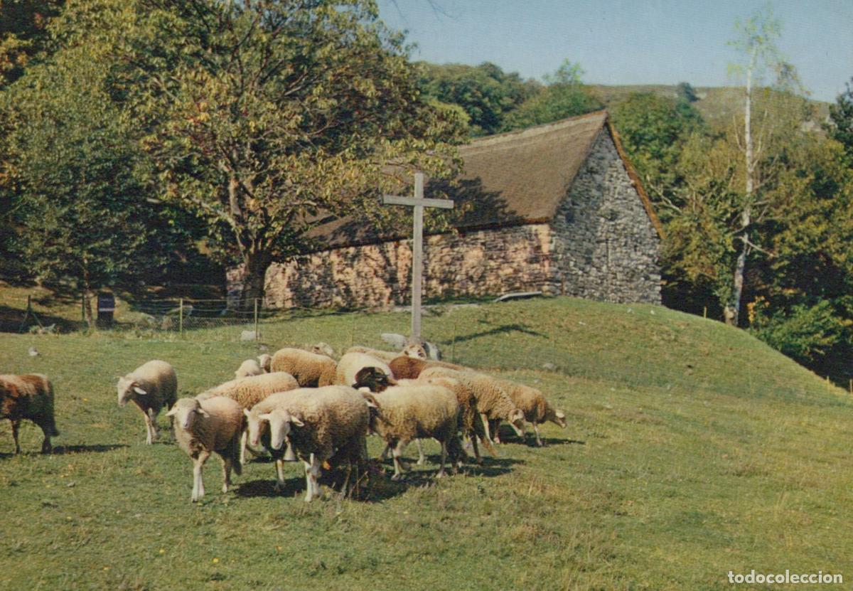 Cartes Postales: France Lourdes Chapelle de la Bergerie de Bernadette Moutons *YAB152