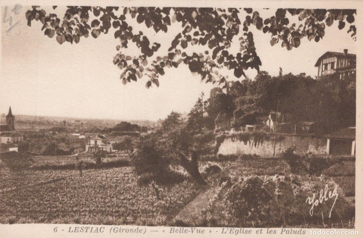 Postkarten: France Lestiac Belle Vue &Eacute;glise et Paluds Paysage Rural *YAB317