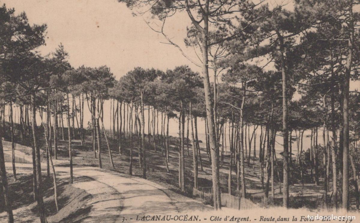 Postkarten: France Lacanau Oc&eacute;an Route Pin&egrave;de C&ocirc;te D Argent Unposted *YAB326
