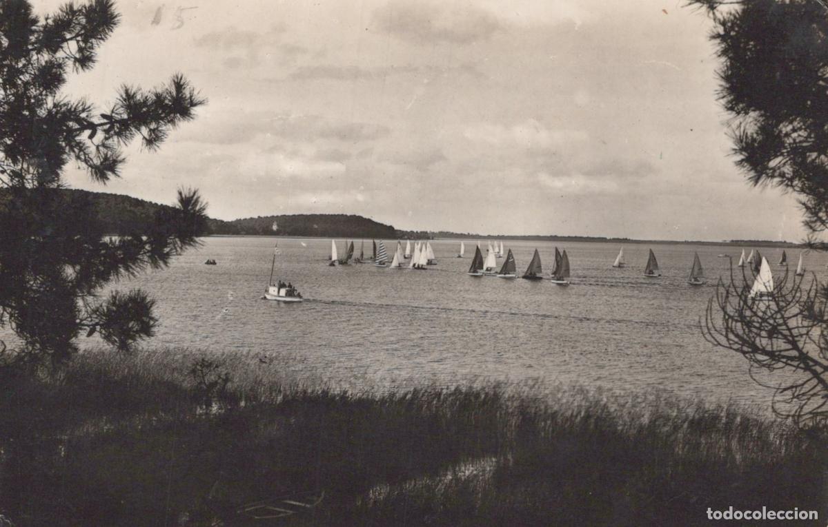 Cartes Postales: France Lacanau Oc&eacute;an Les R&eacute;gates de Voiliers Sc&egrave;ne Nautique *YAB327