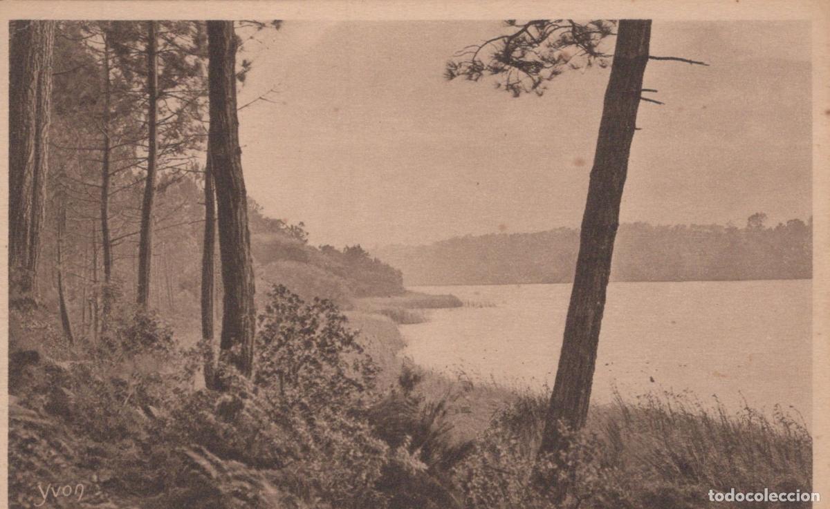 Postkarten: France Moliets L Etang de Laprade Paysage Lacustre Unposted *YAB378