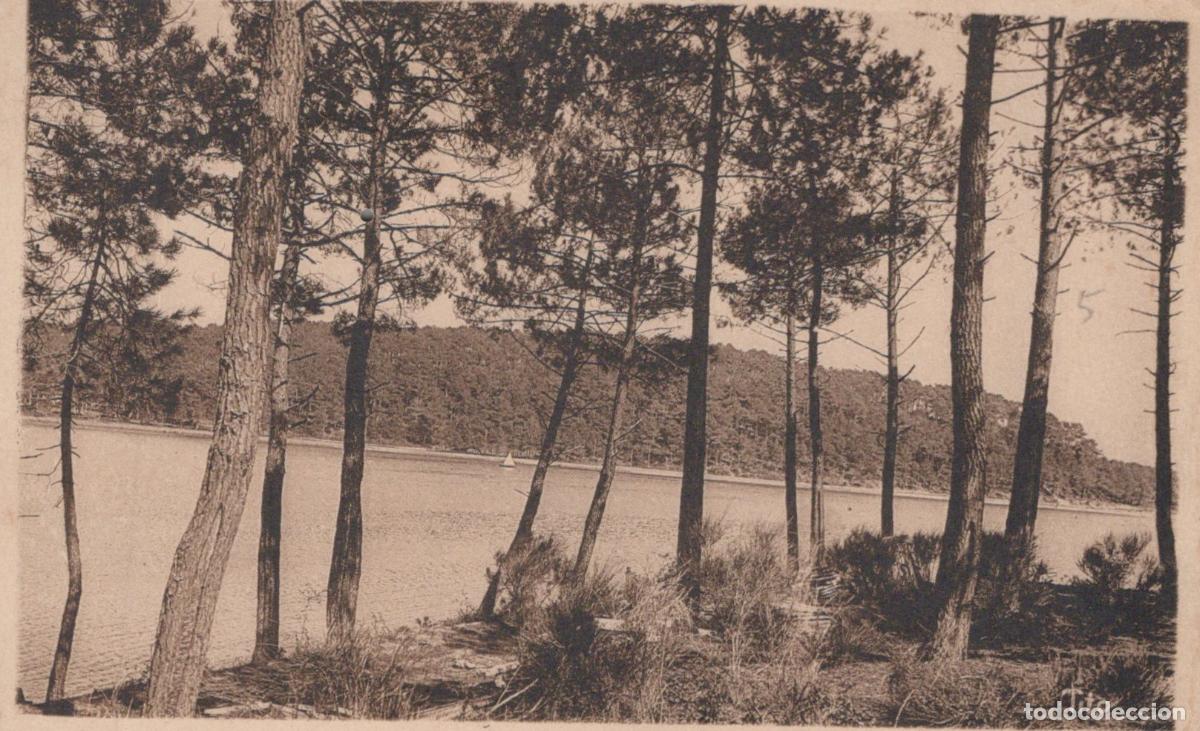 Cartoline: France Hossegor Paysage Dune de Brand&egrave;re Pins et Lac *YAB393